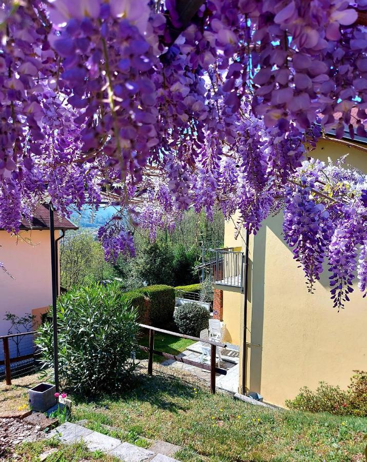 Casa Vacanza Il Glicine Casale Corte Cerro Eksteriør bilde
